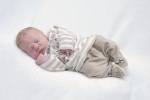 Lasse