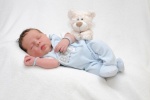 Finn Luca